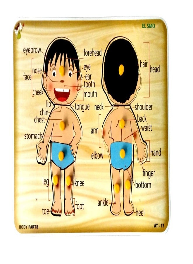 EL SMO Human Body Parts Wooden Puzzle Games and Learning Educational Board for Kids Wooden Puzzle for Creative Kids with knob - Image 1